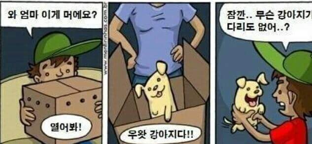 한 쪽 다리가 없는 강아지를 선물받은 소년 | 인스티즈