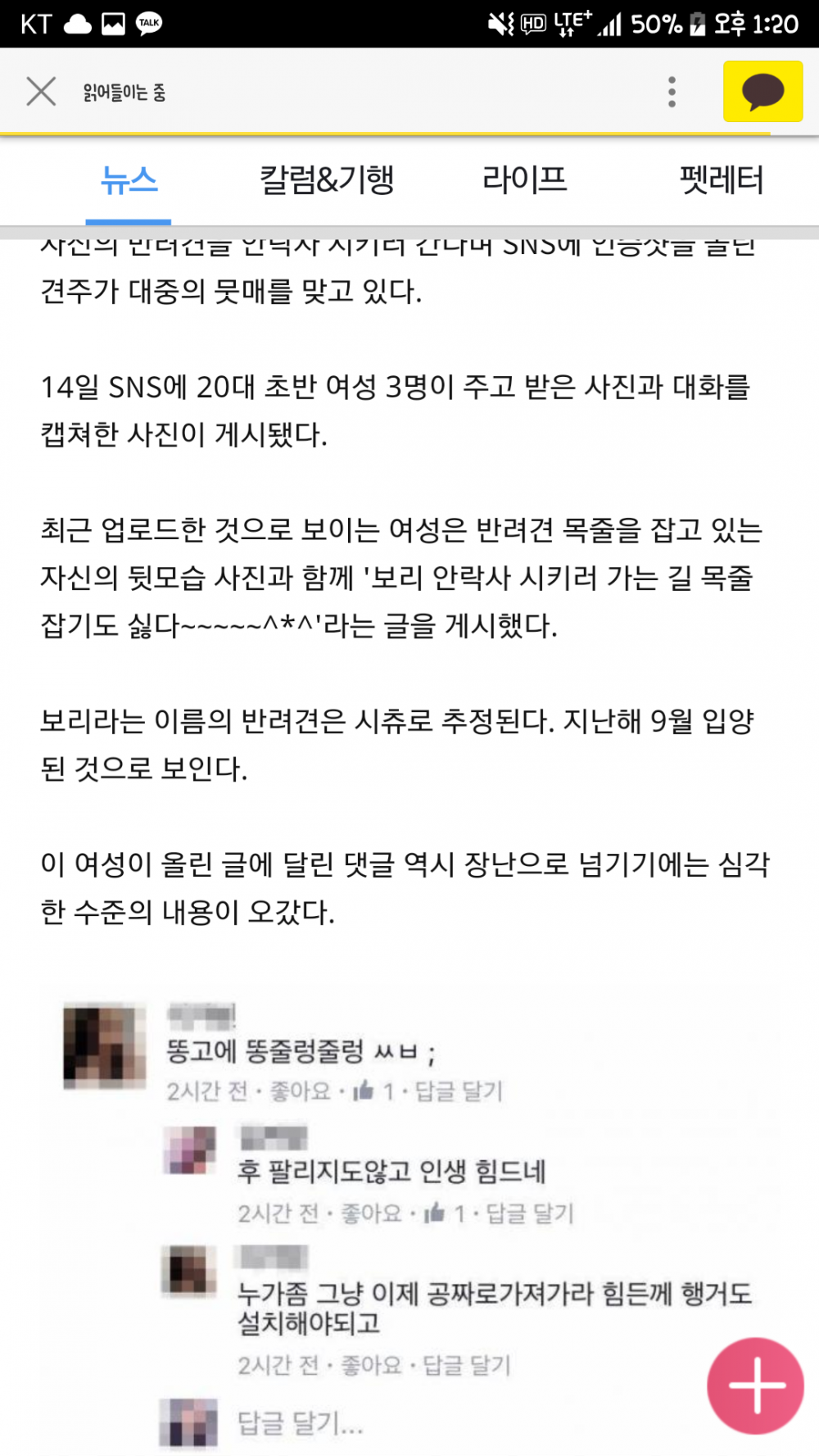 멀쩡한 강아지 안락사 SNS 인증 | 인스티즈