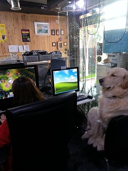 가자PC방 이미지
