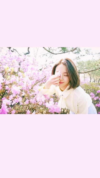 트와이스 채영 사진 | 인스티즈