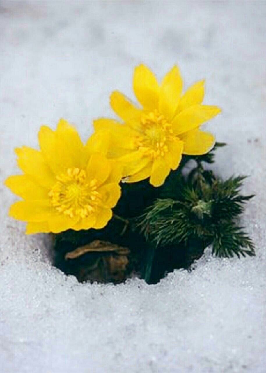 모닝다방 이미지