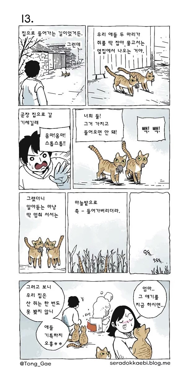 고양이 여덟마리와 사는만화 | 인스티즈