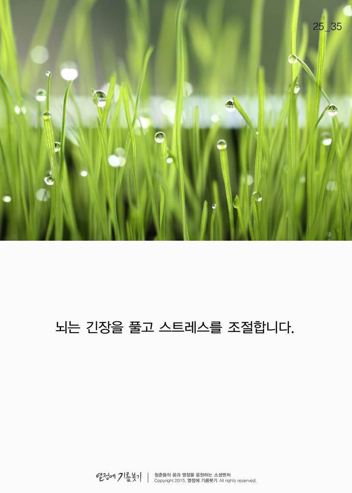 샤워와 성공의 연관관계 | 인스티즈