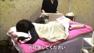 안마방.gif | 인스티즈