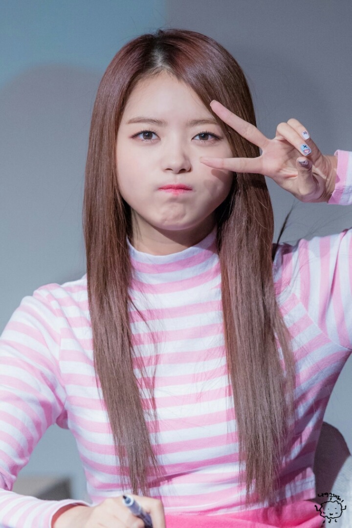 돌리더 임나영 | 인스티즈