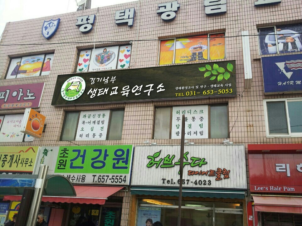 푸름지기 이미지