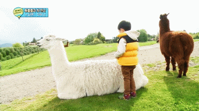 첫등장부터 인터넷 난리났던 5살 김민율.jpgif | 인스티즈