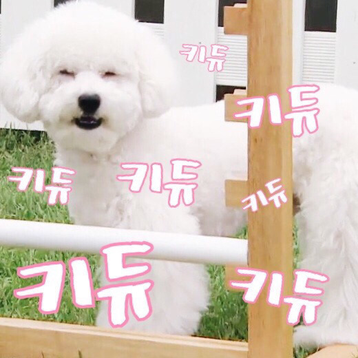 같이 이미지