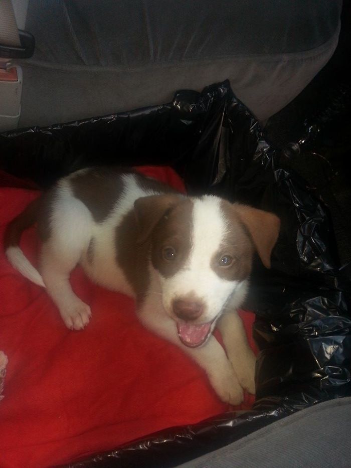 264C02355602AC0126AA0A