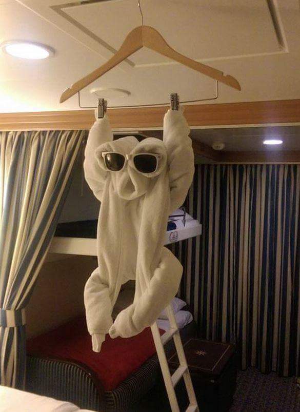 264C983355246CBF2BF482