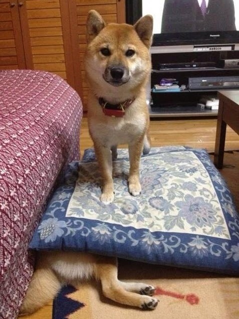 깔 이미지