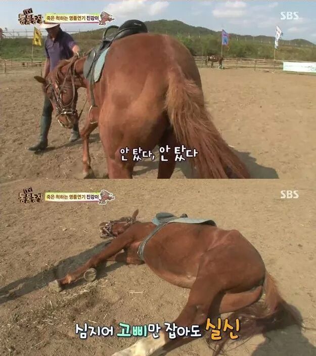 말도 안되는 말 | 인스티즈