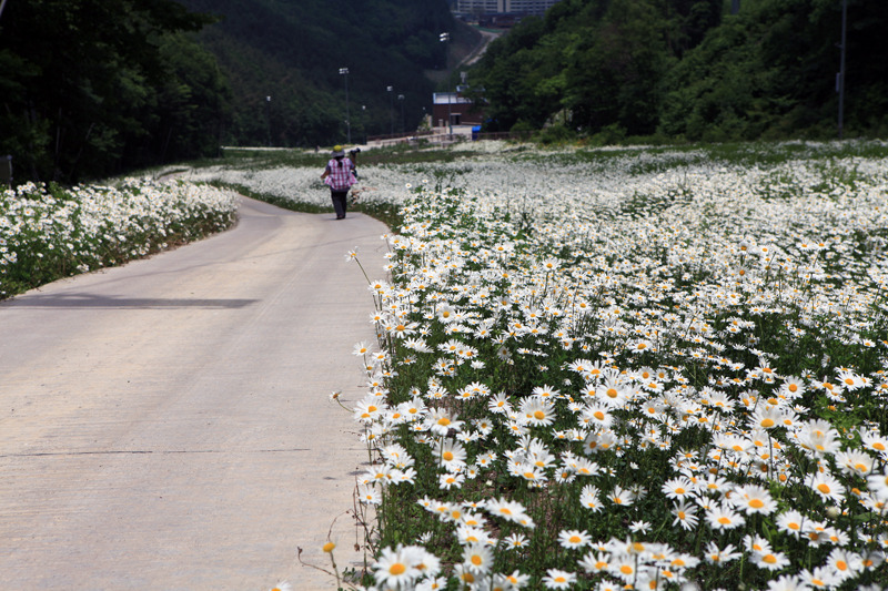 리산애 감성여행 이미지