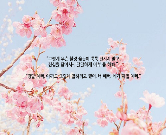  어설프게 아는 것은 아예 모르는 것과 다를 바 없지요 | 인스티즈