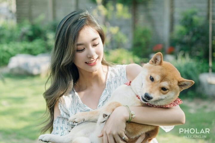 자기전에 올려보는 트와이스 쯔위 | 인스티즈