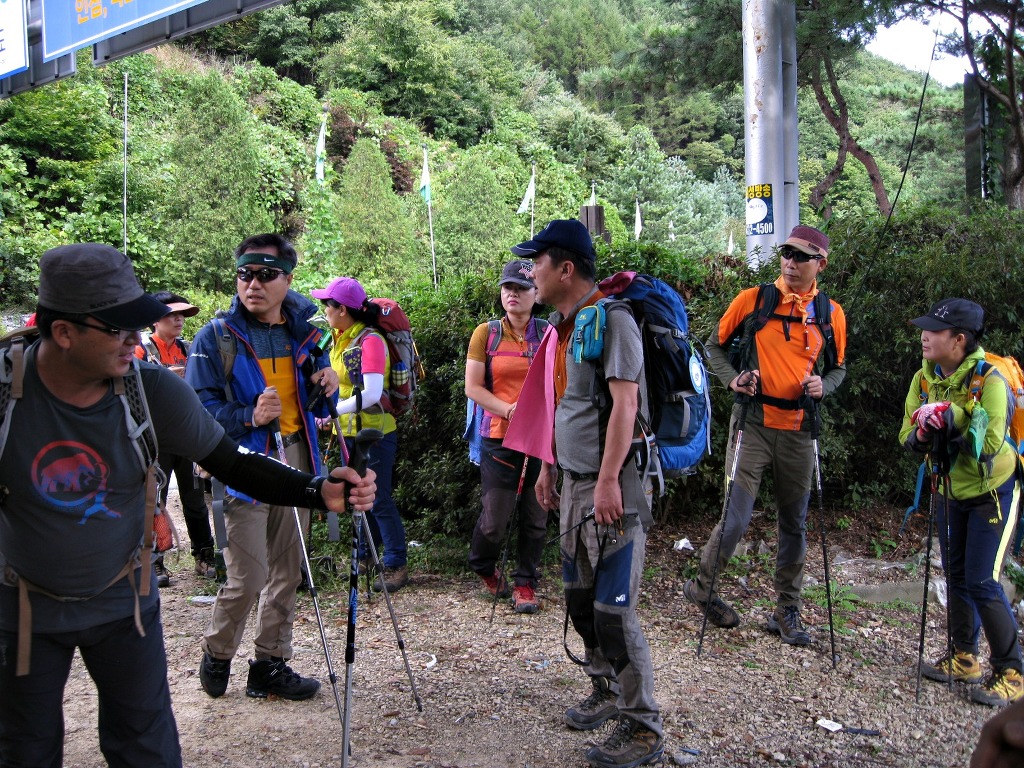 산고래 이미지
