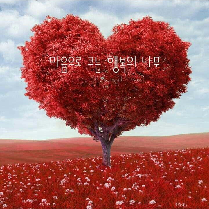 브살렐 이미지