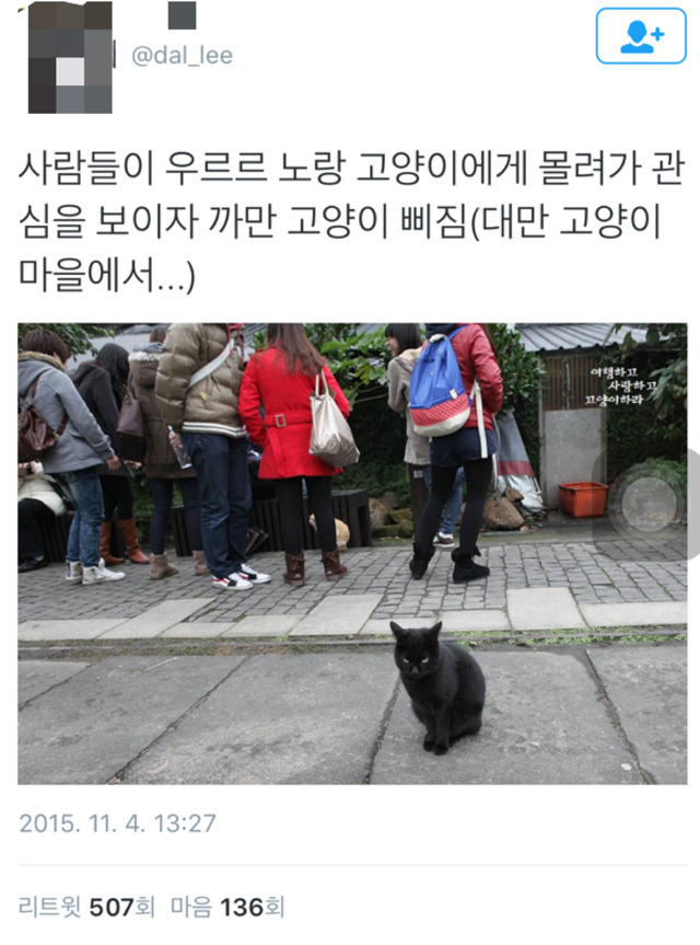 사랑을 뺏긴 고양이.twt | 인스티즈