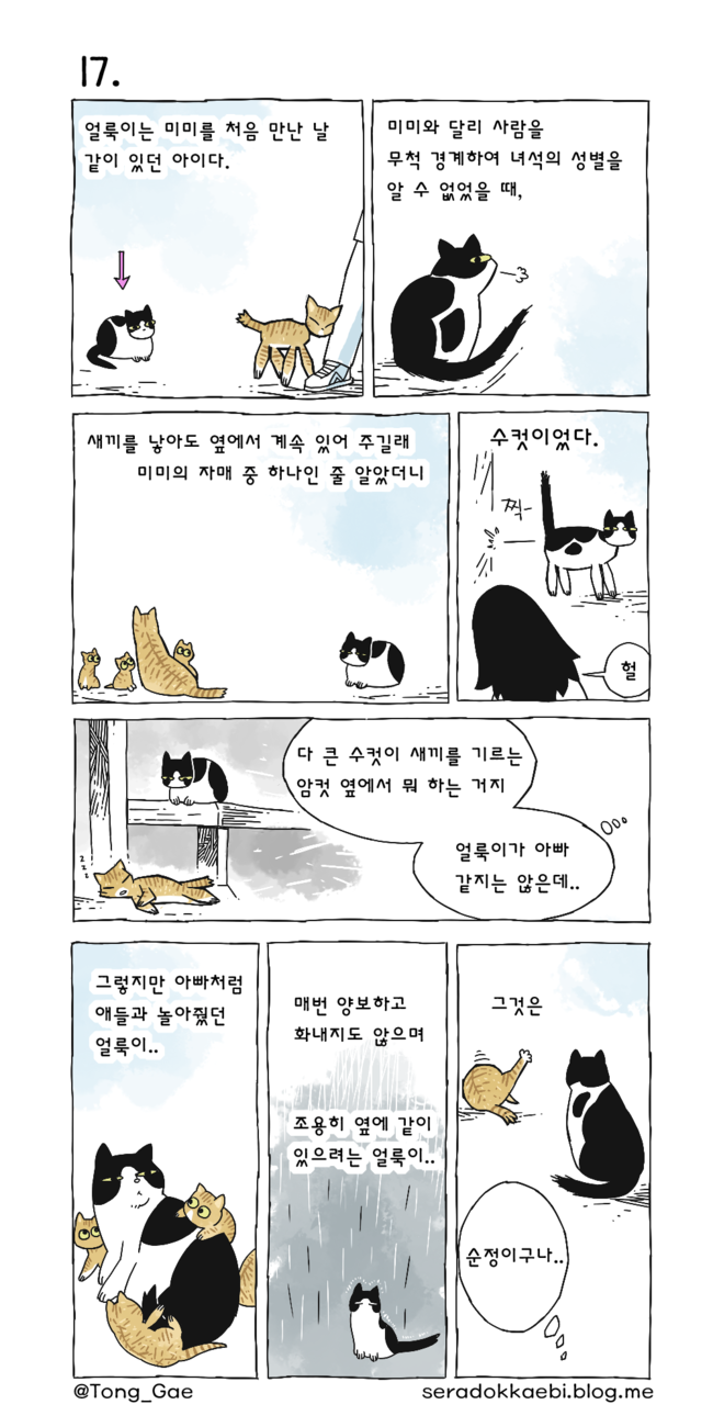 고양이 여덟마리와 살았다 17~21 | 인스티즈