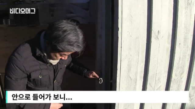 덴마크 정유라 숙소에 방치된 냥이들 | 인스티즈