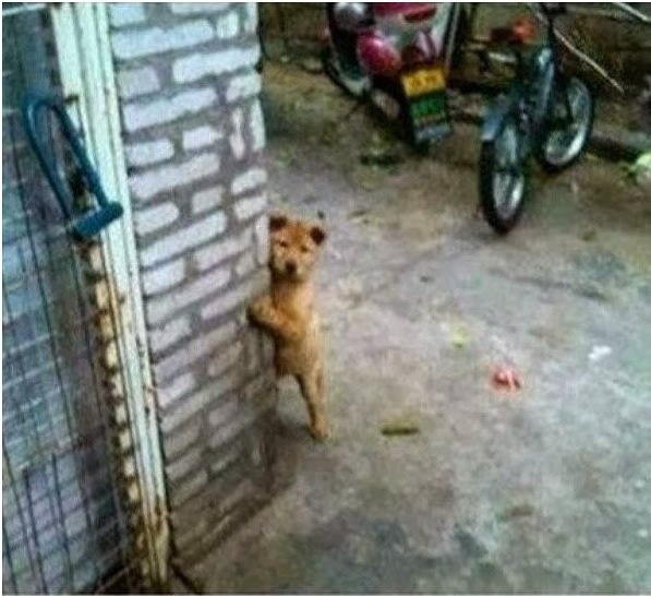 저 봤다고 말하지 마세요 부탁드립니다 | 인스티즈