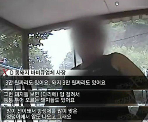 통돼지네 이미지