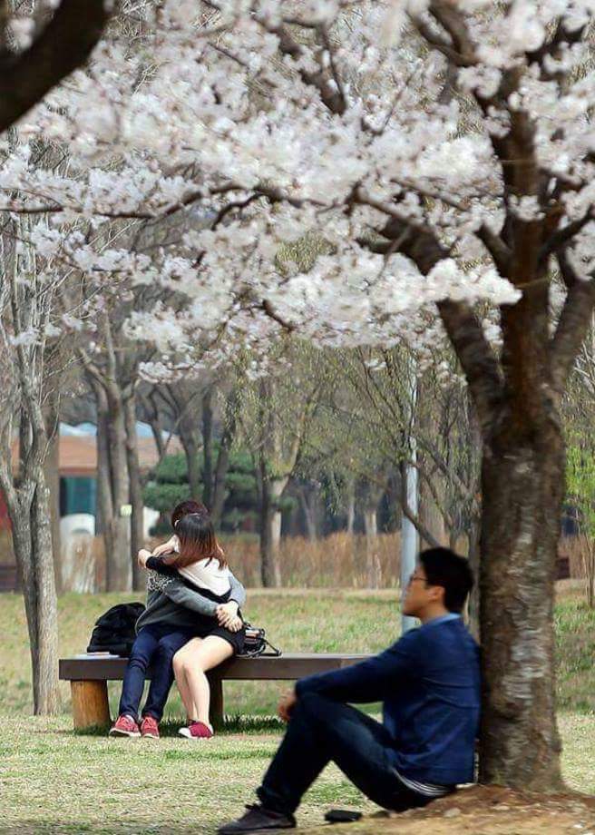 한 달 뒤에 볼 수 있는 광경.jpg | 인스티즈