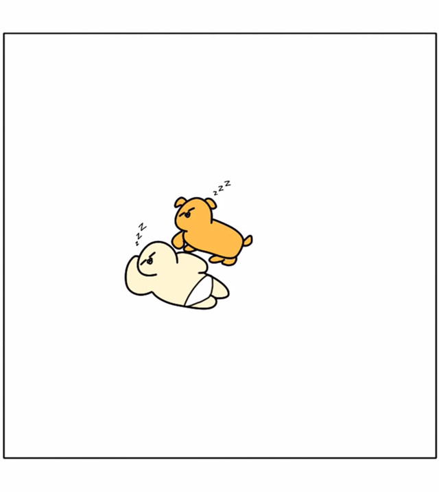 강아지가 우리 곁을 떠날 때 | 인스티즈