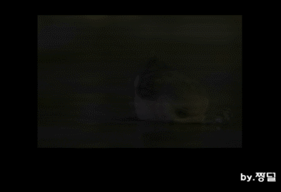 크리스마스이브에 모텔에 가는 이유?? | 인스티즈