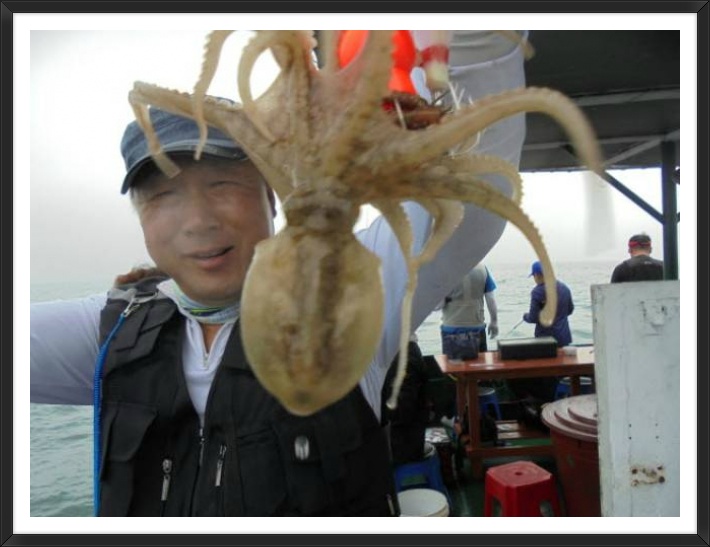바다쭈꾸미 이미지