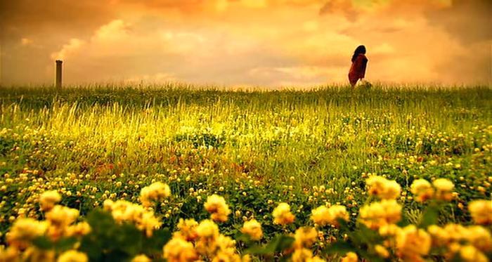 보고나면 후유증이 심한 영화 | 인스티즈