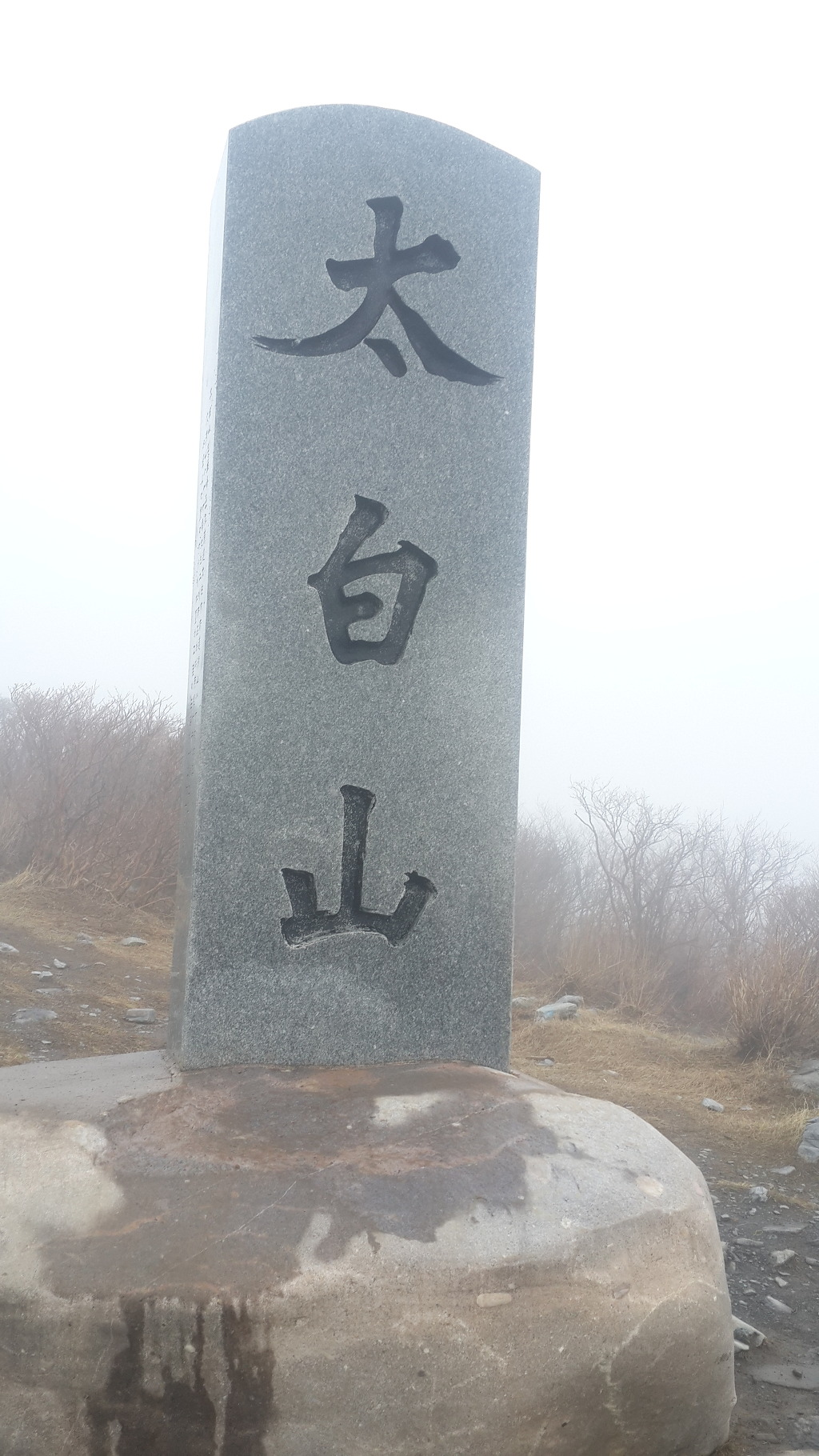 유일사 이미지