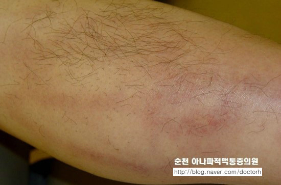 아나파의원 이미지