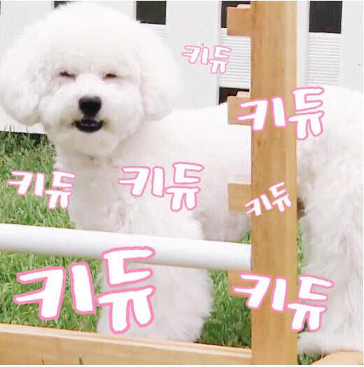 굿모닝 이미지