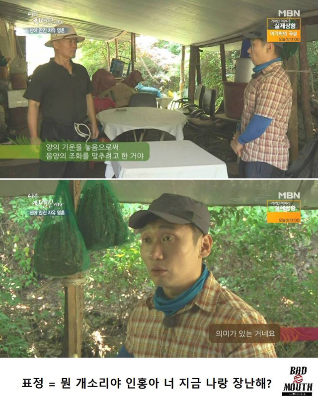 말벌 이후 레전드 경신한 나는 자연인이다 ㅋㅋㅋㅋㅋㅋㅋ | 인스티즈