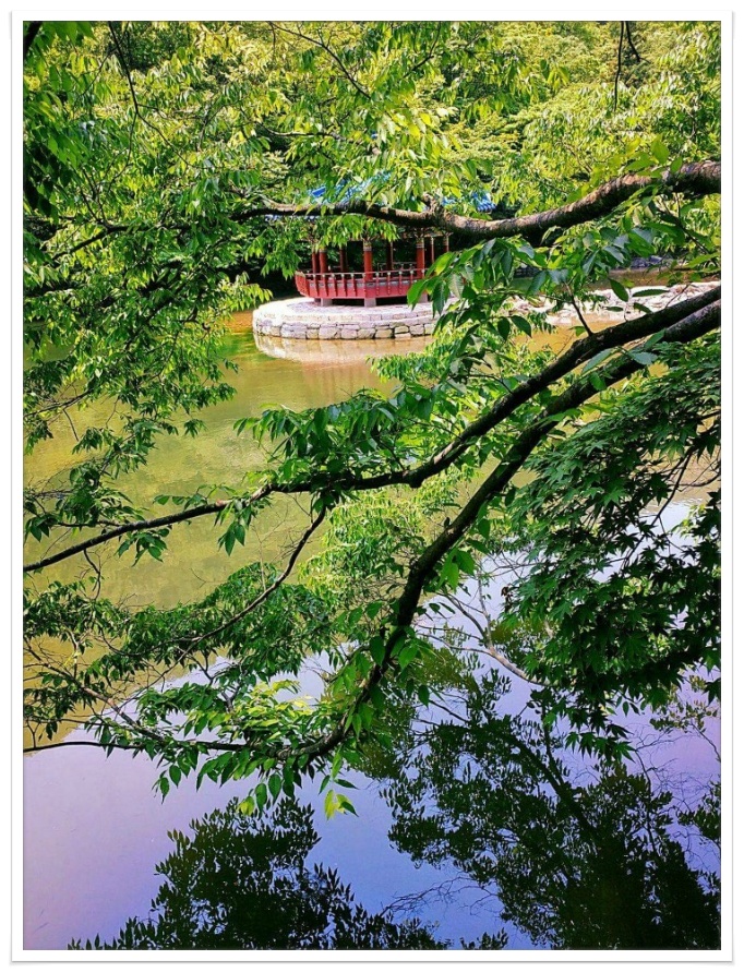 맑은바람 이미지