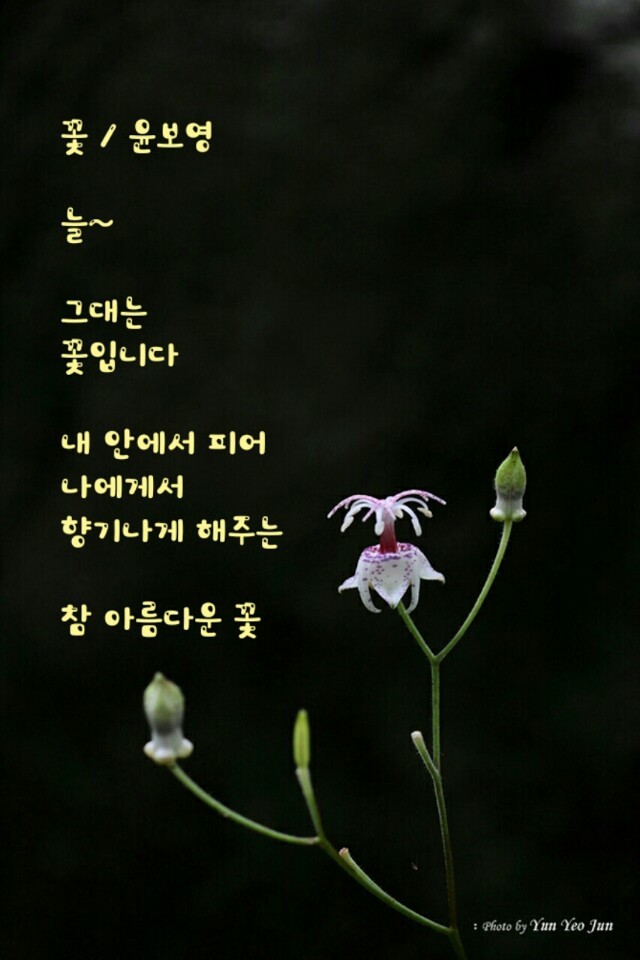 꽃향기 이미지