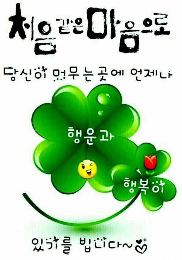 빵긋 이미지