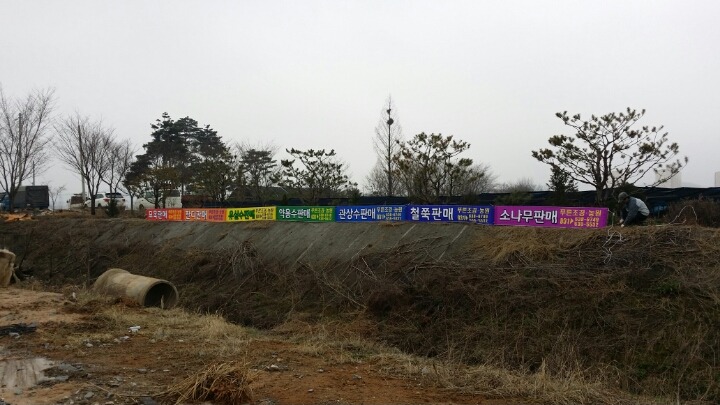 푸른조경농원 이미지
