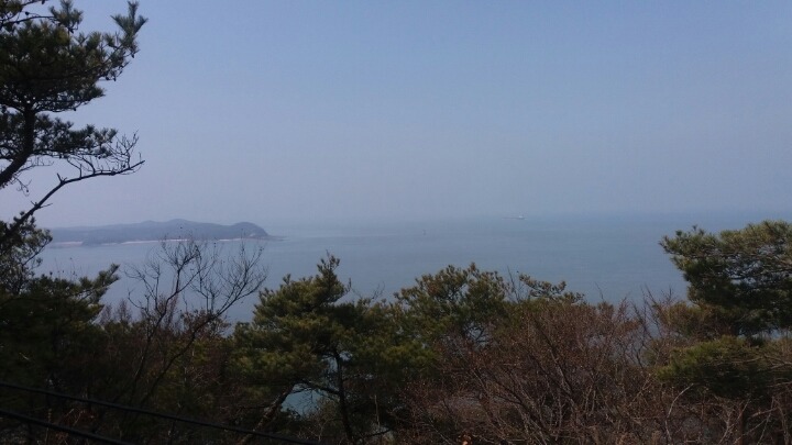 요땡 이미지