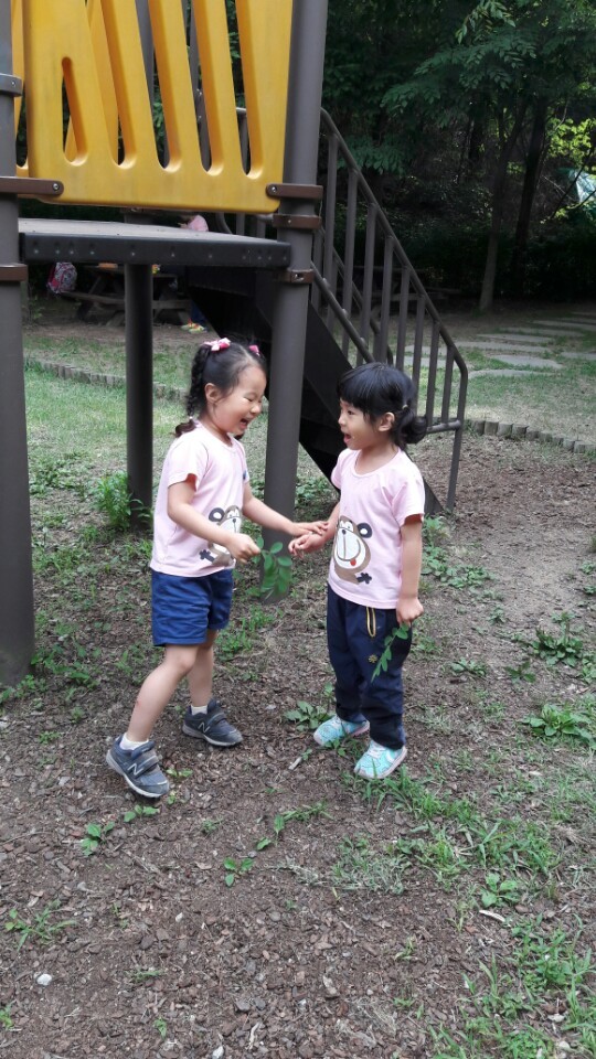 연이숲 이미지