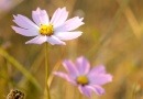 9월 7일부터 긴팔을 입어도 되는 이유.JPG | 인스티즈