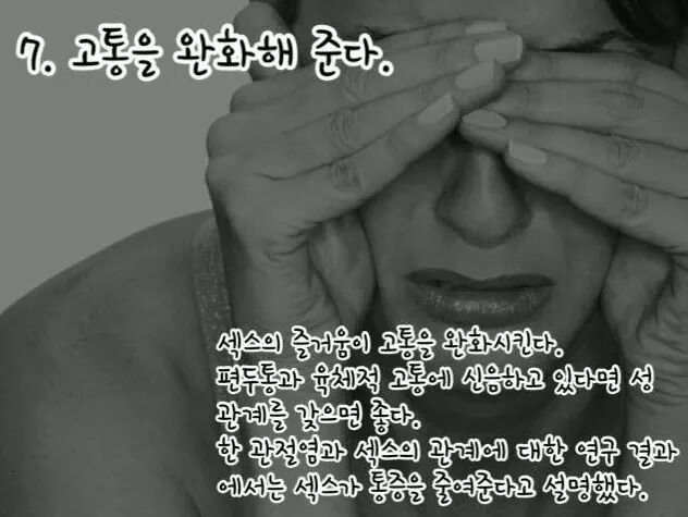 섹스를 매일해야하는 16가지 이유 | 인스티즈