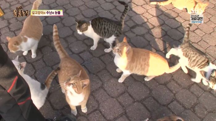 눈앞에서 제 아이가 맞아죽었습니다. 도와주세요 | 인스티즈