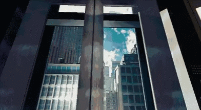 난간에 올라간 고양이 구하기 체험.gif | 인스티즈