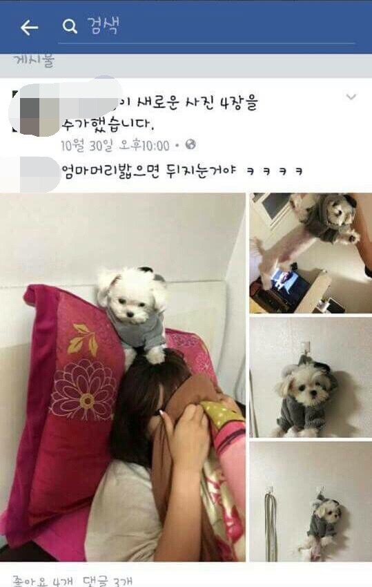 오늘자 페북에 뜬 동물학대녀 | 인스티즈
