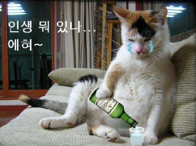복 이미지