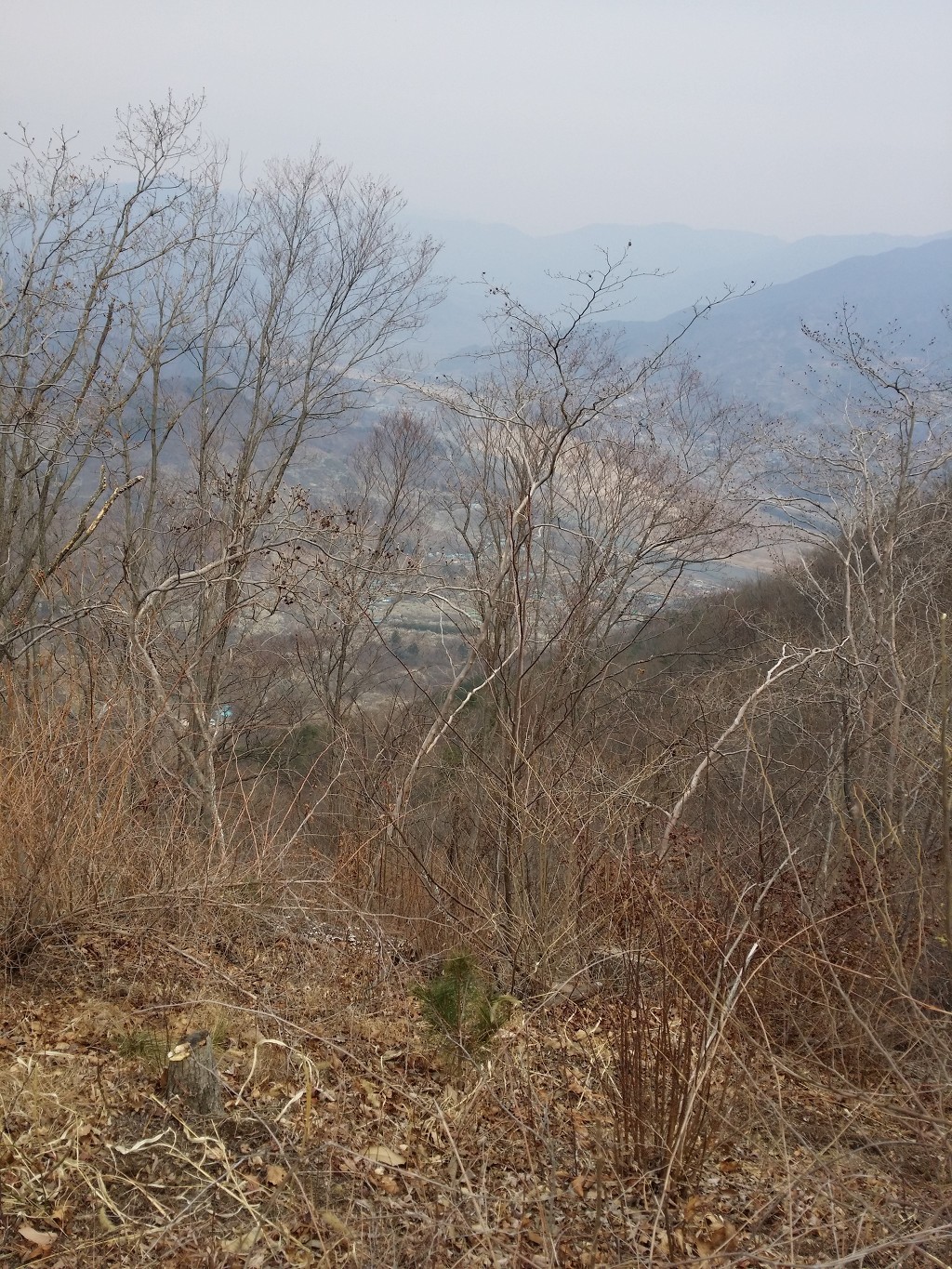 원경농원 이미지