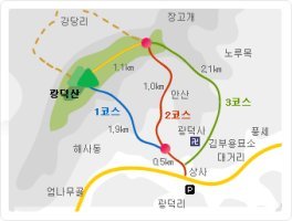 월성초등학교 이미지
