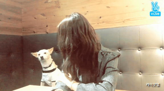오늘자 소혜 브이앱 움짤.gif (데이터주의) | 인스티즈